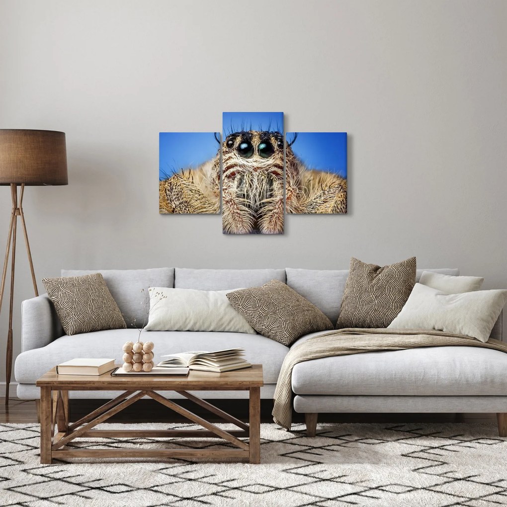 A pók részletének képe (90x60 cm)