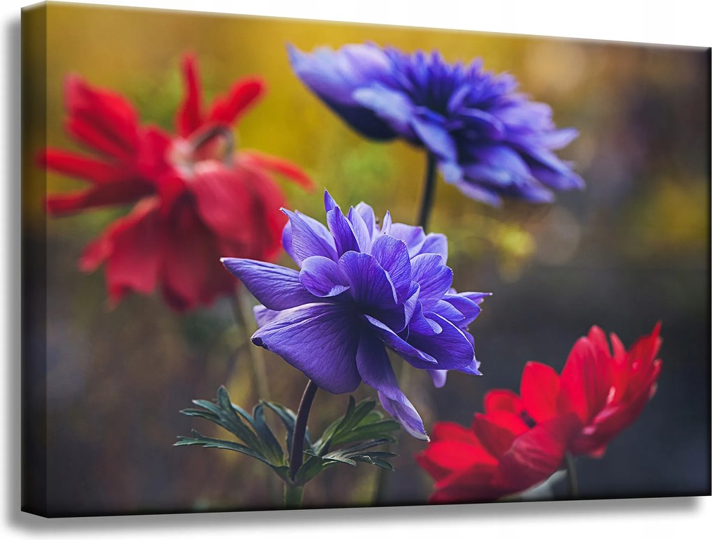 Botanika Virágok a kertben vászonkép 60x40 c