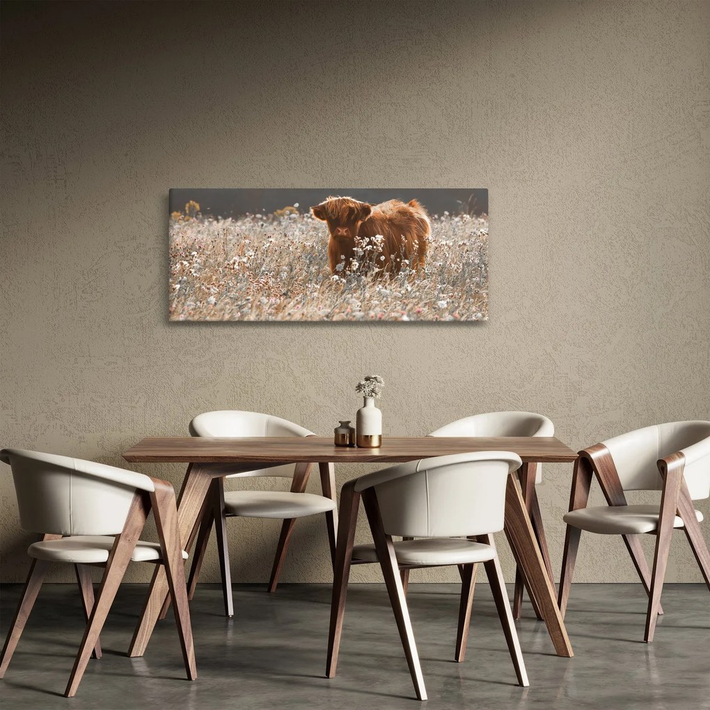 Kép - Skót tehén a virágban (120x50 cm)