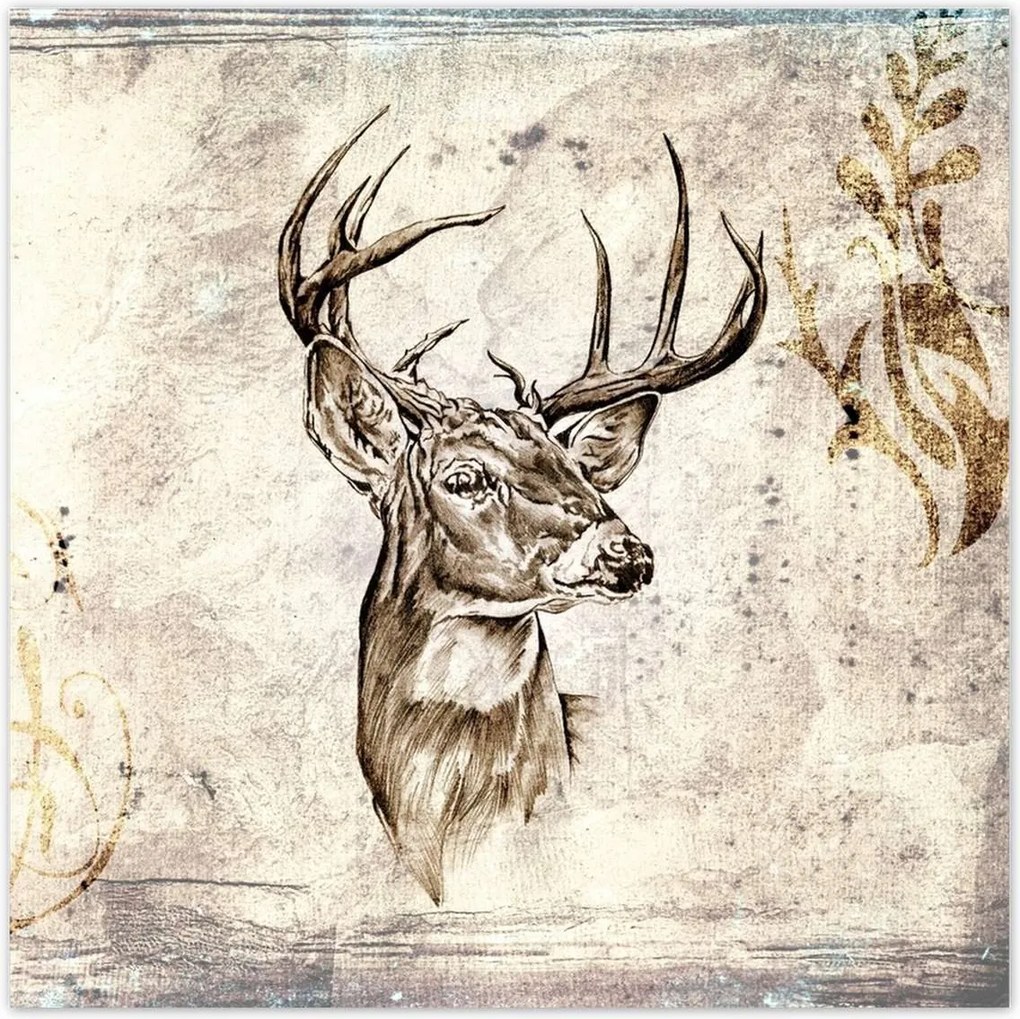 Poszterek 30x30 Szarvas agancsok