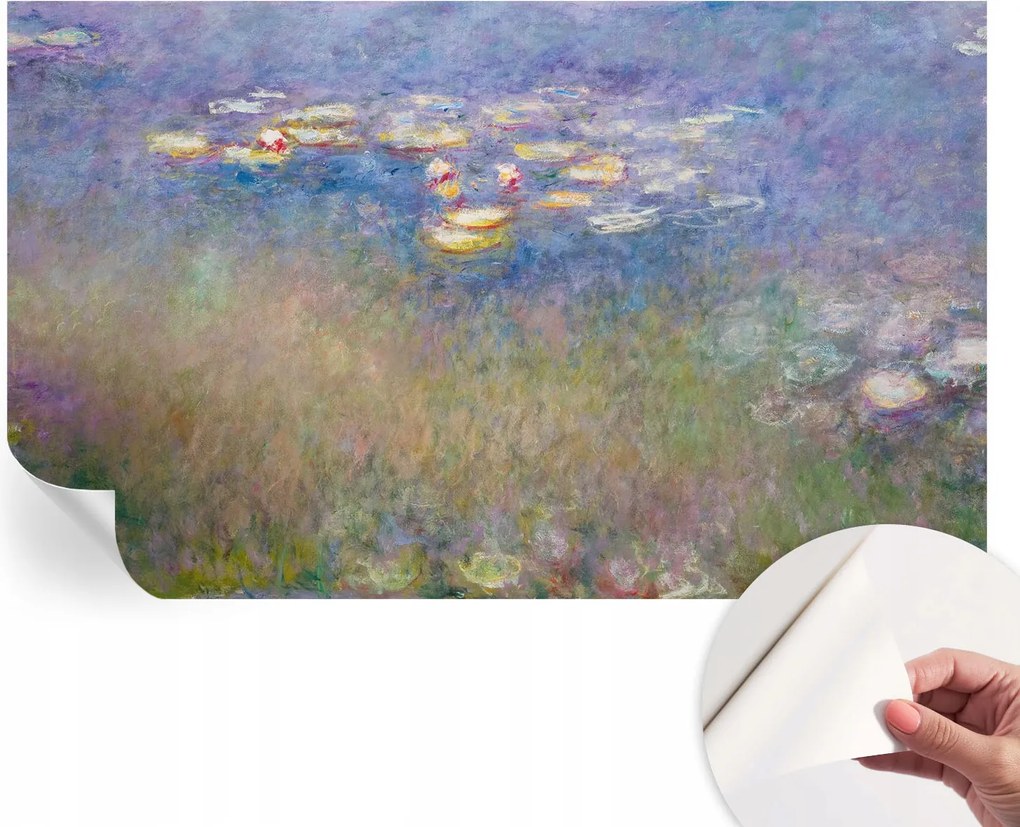 Öntapadós fotótapéta Nappaliba és Hálószobába Vízi liliomok 416x254 cm