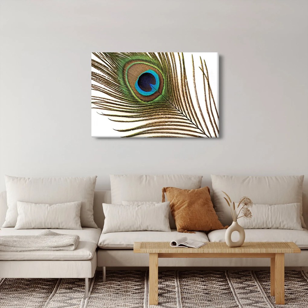 Pávatoll képe (90x60 cm)