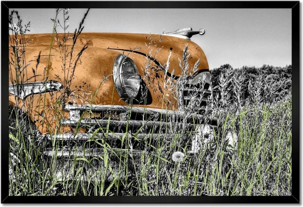 Poszterek keretben 60x40 Tea veterán