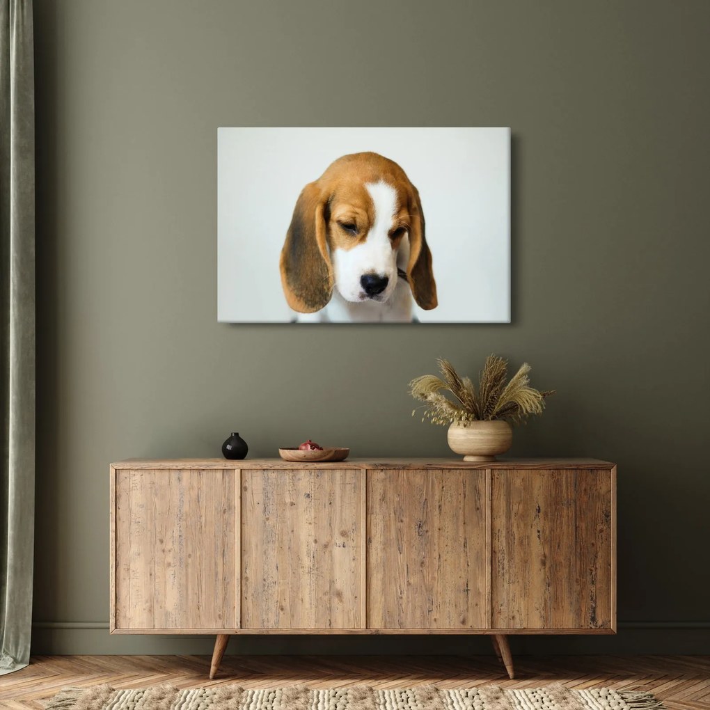Beagle képe (90x60 cm)