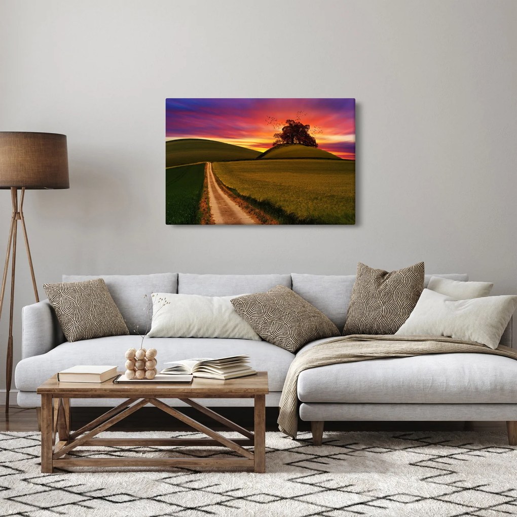 Mező és a színes ég képe (90x60 cm)