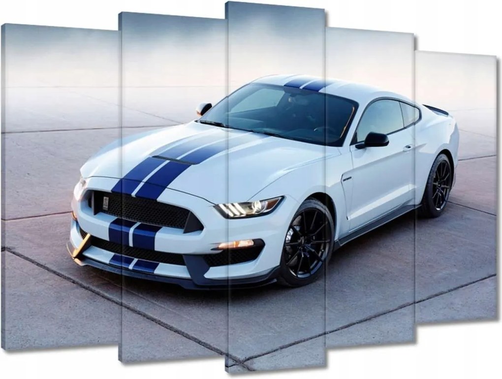 Vászonkép 70x50 Ford Mustang Shelby