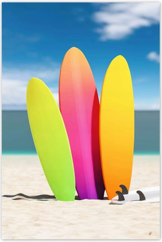 Poszterek 80x120 Színes szörfdeszkák