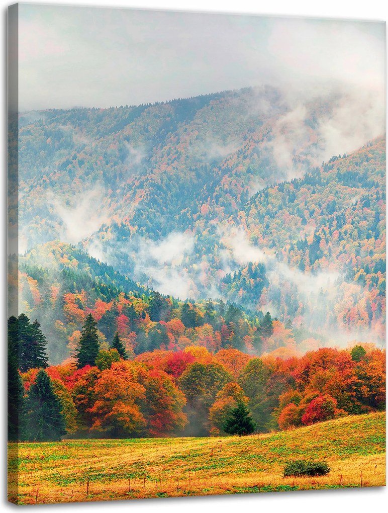 Vászonkép Hegy Erdők Rétek Felhők Természet 30x40 cm Ajándéknak is tökéletes