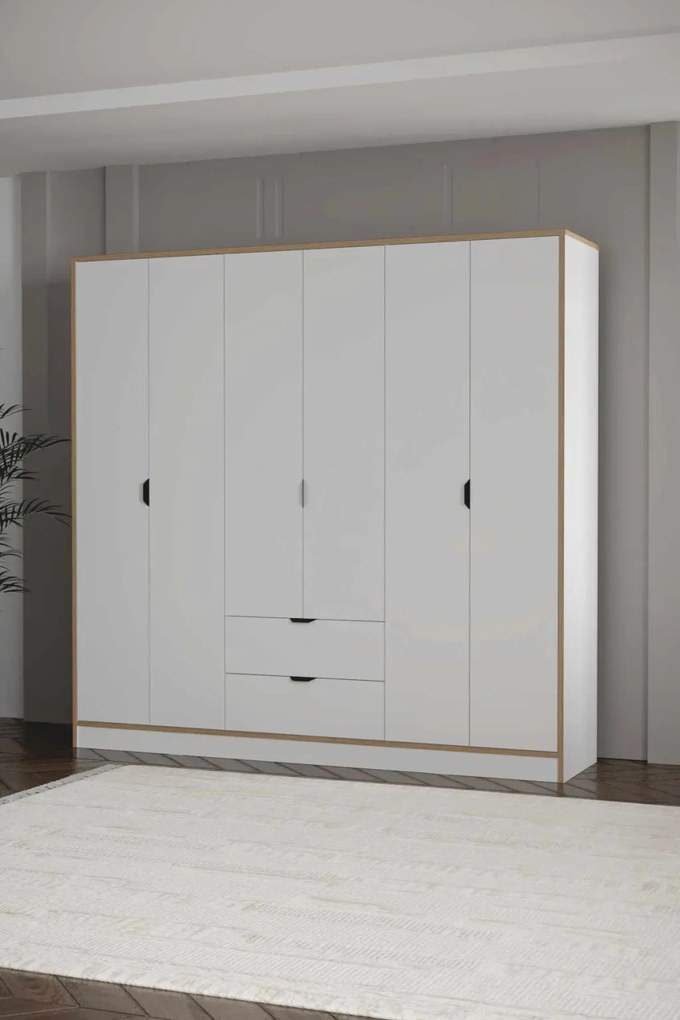 Arden 6