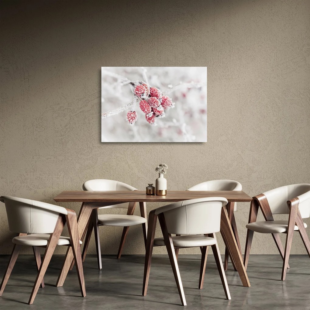 Kép - Fagyasztott gyümölcsök (üvegen) (70x50 cm)