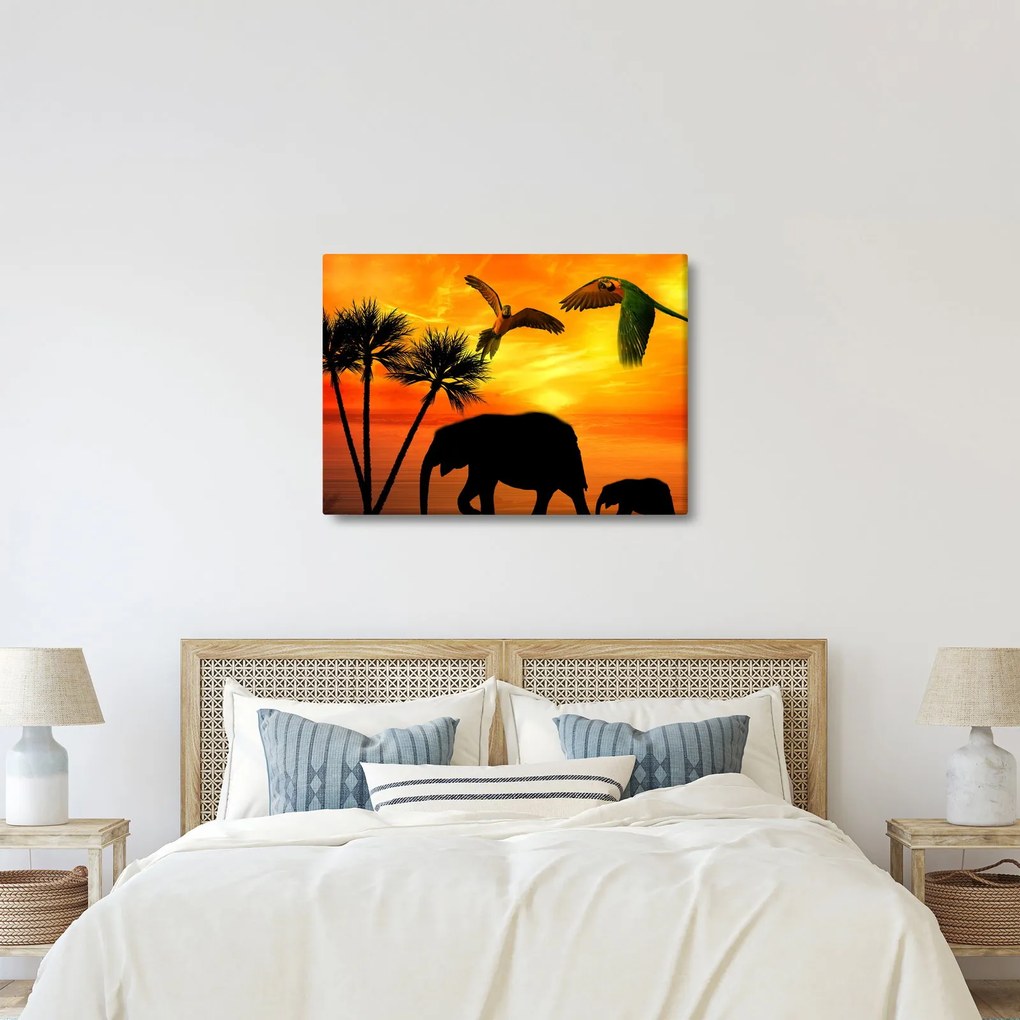 Kép - papagájok és elefántok (70x50 cm)