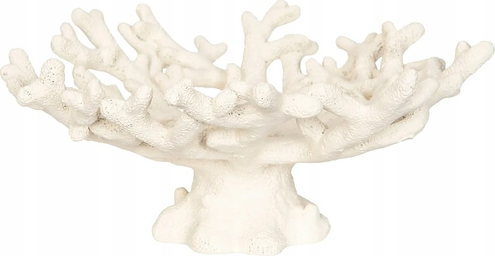 Patera Lábon Gyümölcs Fehér Korallzátony tengerészet nappali otthon nagy