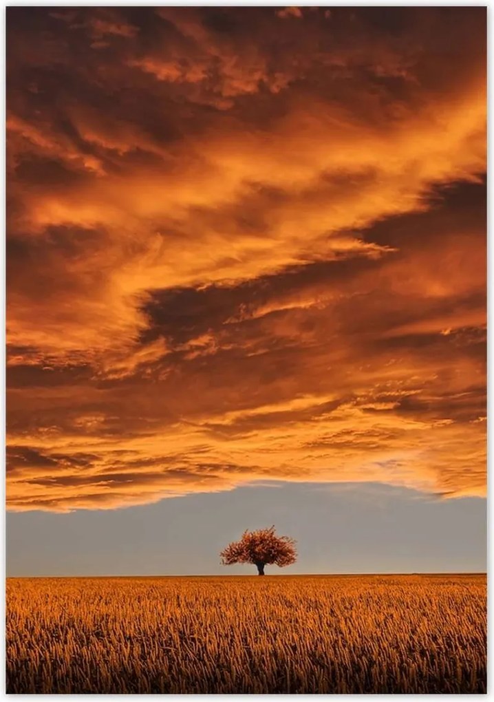 Poszterek 70x100 Narancssárga égbolt