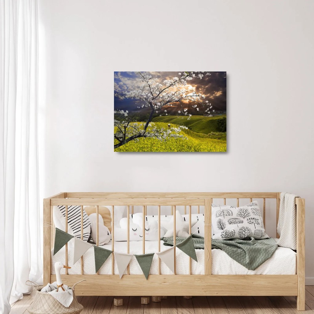 Kép - Virágzó fa az országban (üvegen) (70x50 cm)