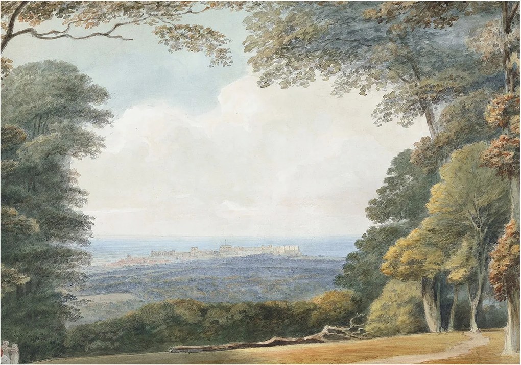 Stílusos Dekoratív fotótapéta Flizelin Erdős táj 208x146