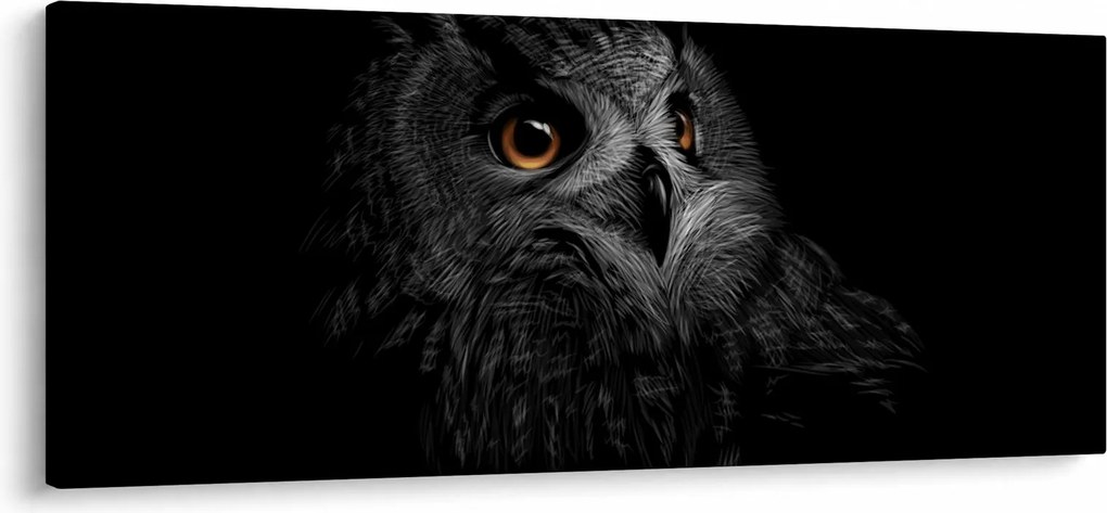 Kép - bagoly, ábra (120x50 cm)