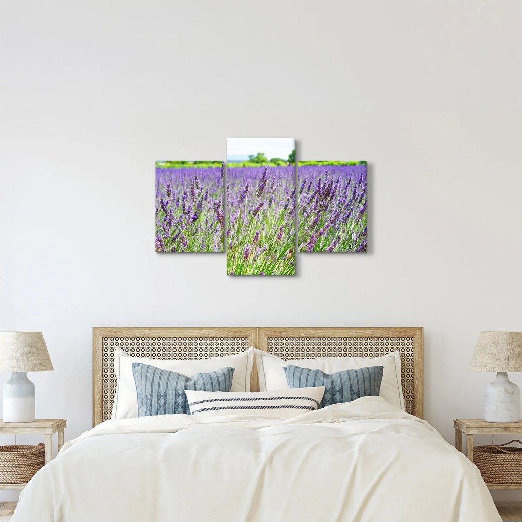 Egy mező képe a levendulával (90x60 cm)