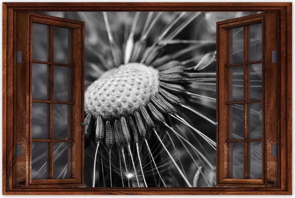 Poszterek 90x60 Pitypang Virág Virágok