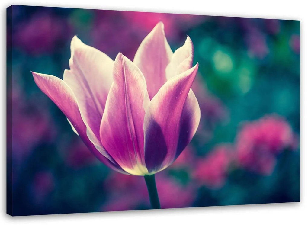 Gario Vászonkép Nyitott tulipán Méret: 90 x 60 cm