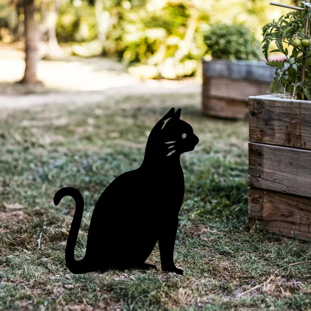 Cat 02