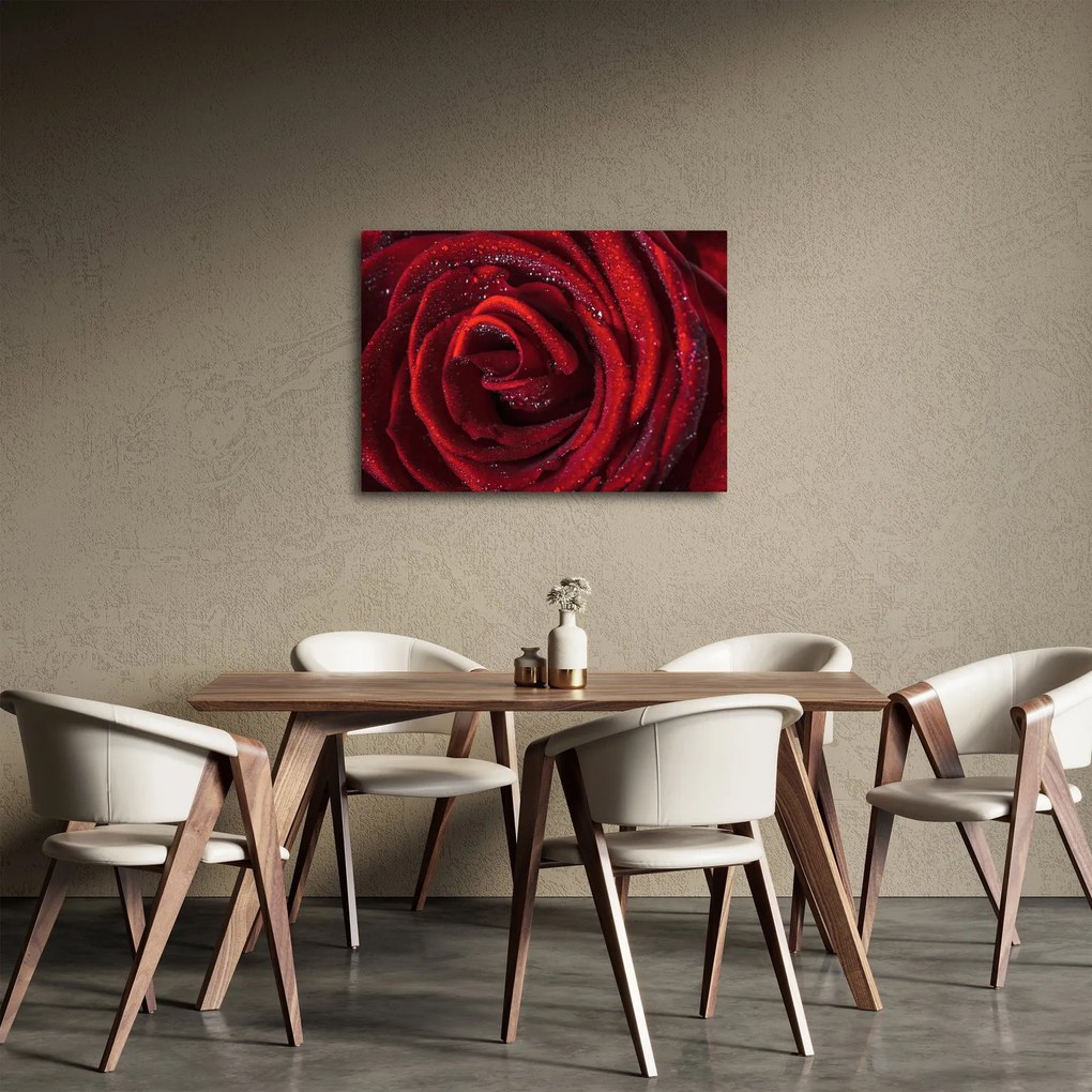 Kép - Vörös rózsa harmatcseppekkel (70x50 cm)