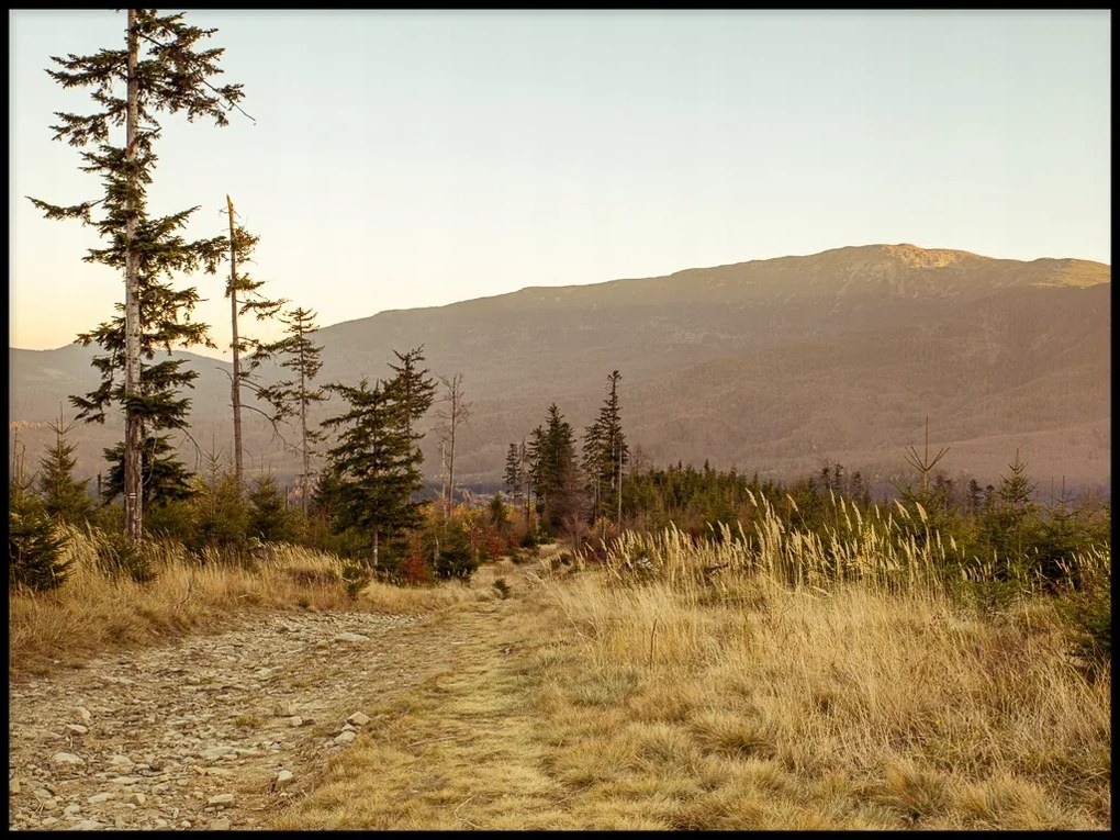 Poszter Tájkép hegyek fa erdő fű 21x30cm A4