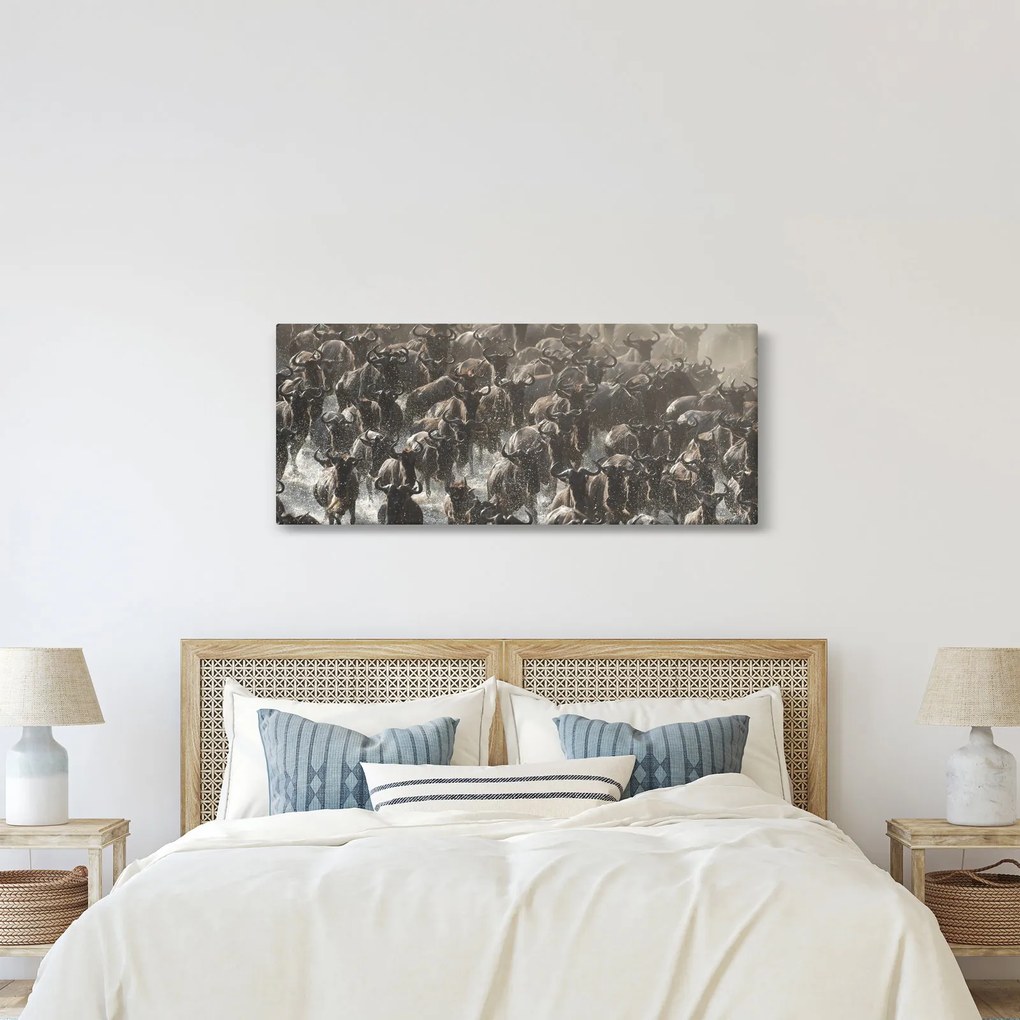Kép - Gnúcsorda (120x50 cm)