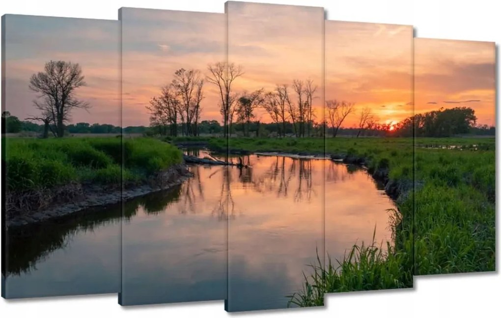 Festmények 100x60 Folyó rét