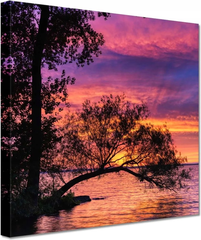 Vászonkép 60x60 Tó Fa Nyugat