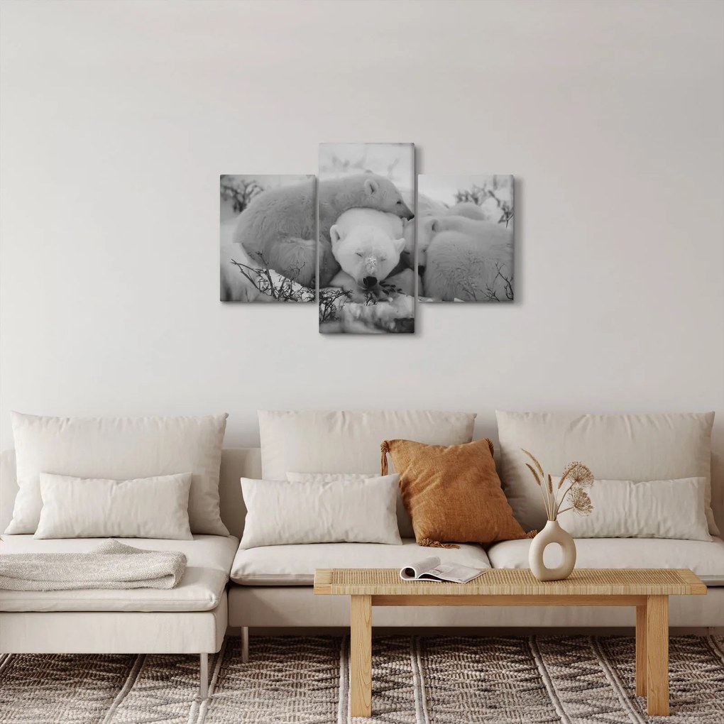 Kép - Jegesmedvék, fekete-fehér (90x60 cm)