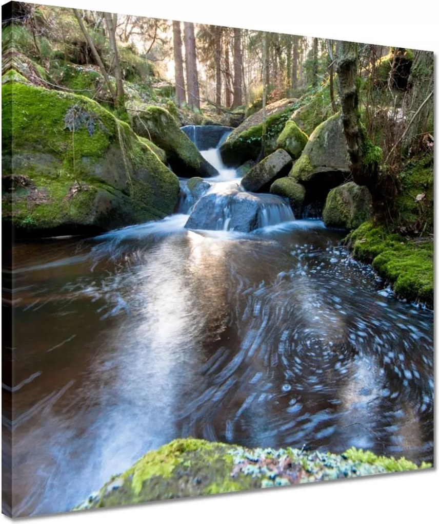 Vászonkép 40x40 Csendes folyószakasz