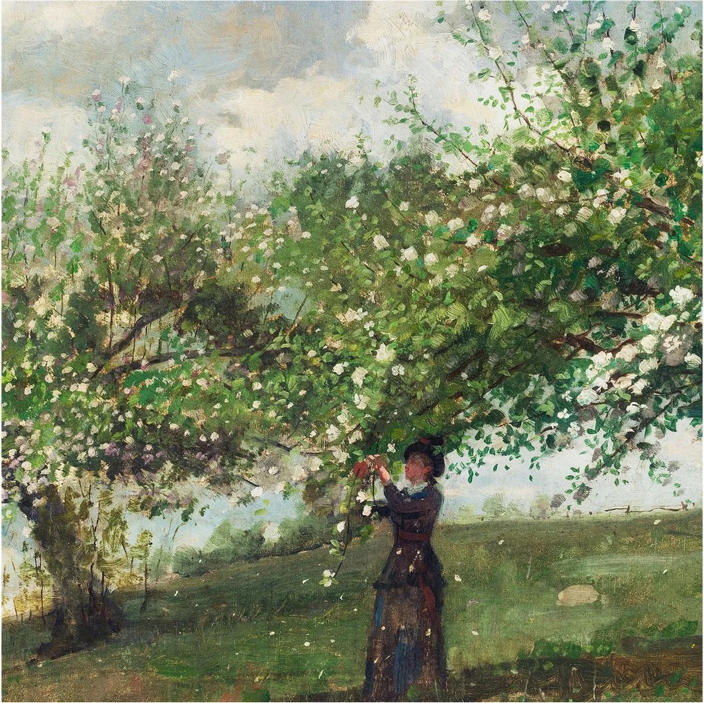 Fotótapéta Flizelina Nappali és Hálószoba Irodába Tavaszi jelenet 250x250 Ragasztó