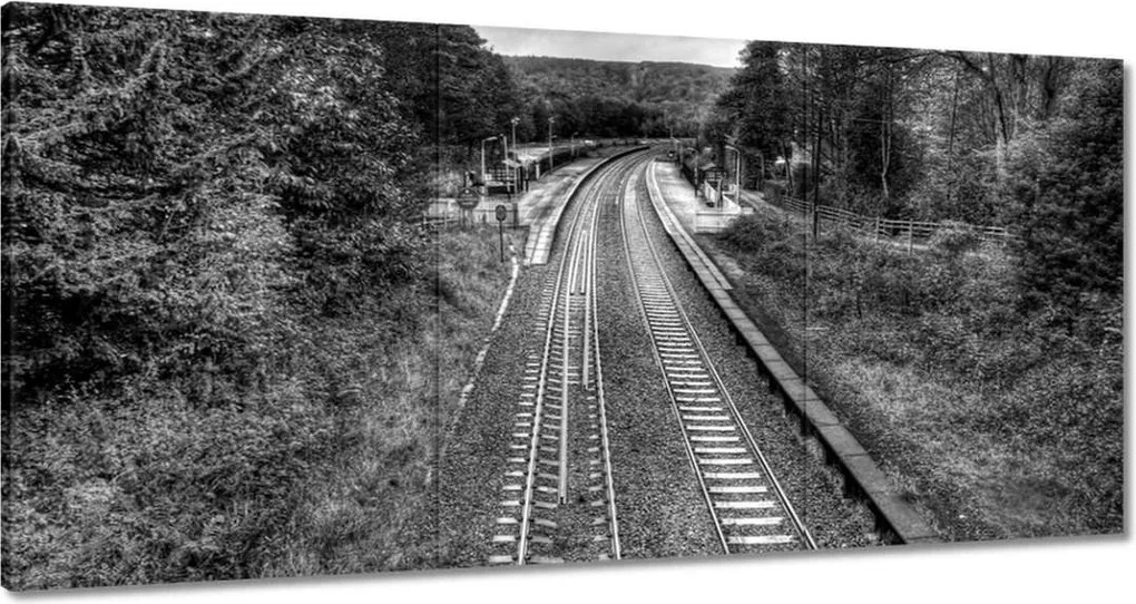 Festmények 120x60 Tóra