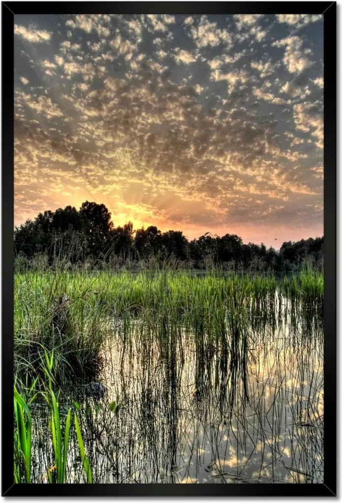 Poszterek keretben 40x60 Mocsár