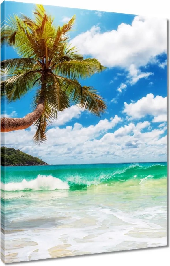 Vászonkép 80x120 Paradicsomi tengerpart pálmafákkal