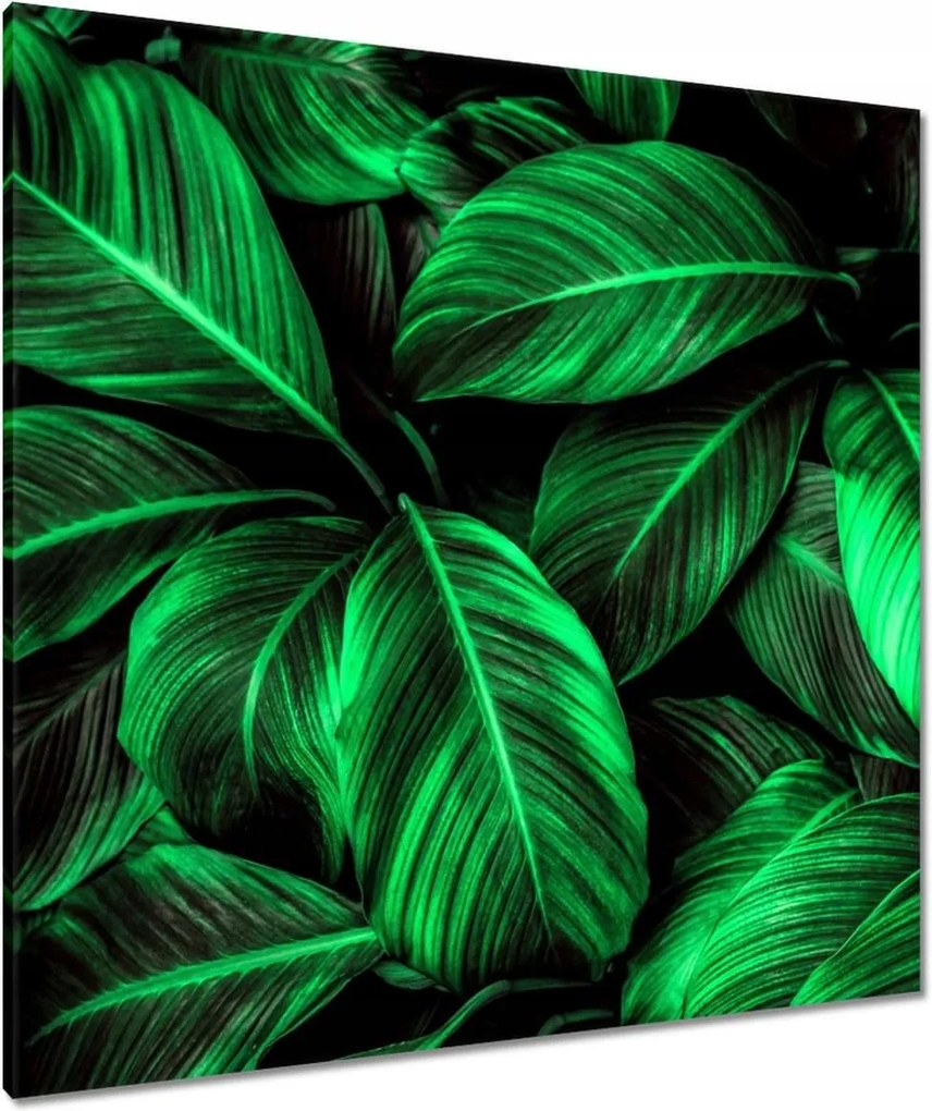 Vászonkép 90x90 Zöld levelek