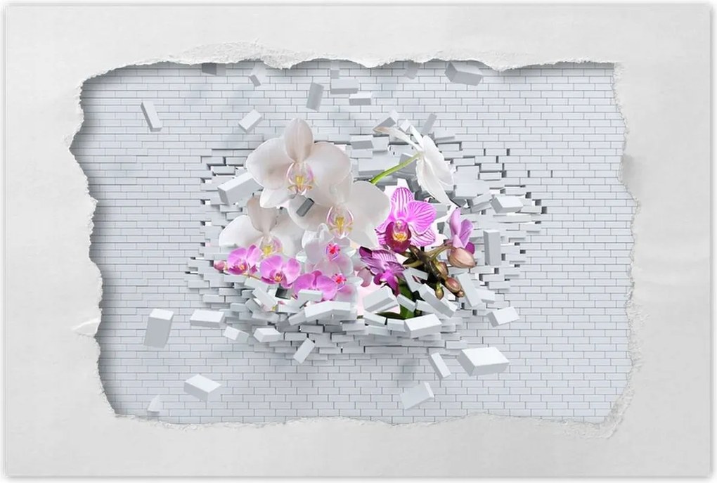 Poszterek 60x40 Orchidea a falon Virágok