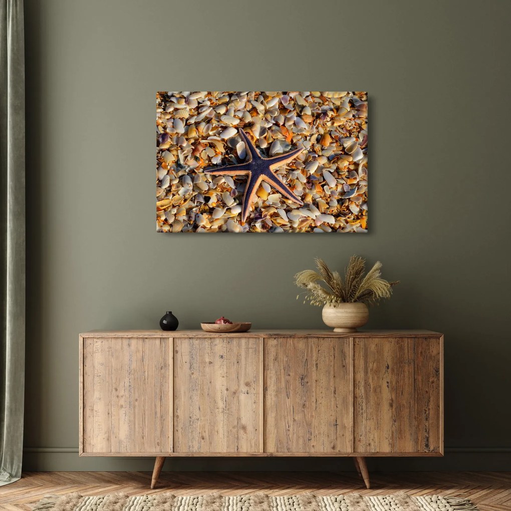 Egy tengeri csillag képe (90x60 cm)