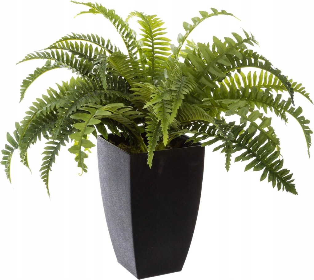 Páfrány bostoni mesterséges páfrány növény 55 cm