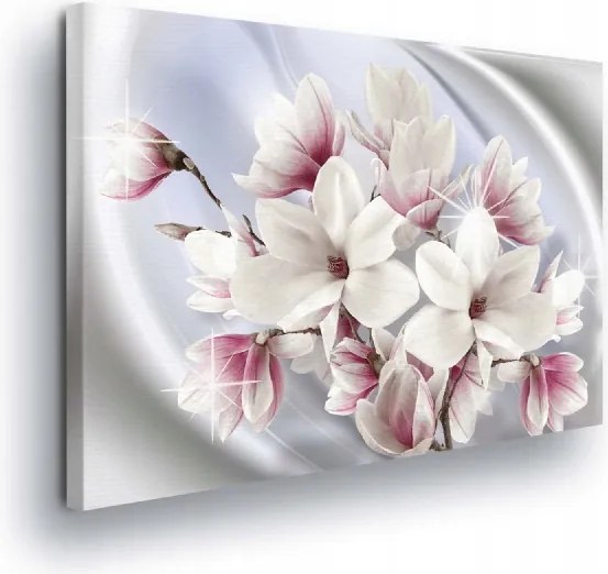 Vászonkép 100x75 Magnólia virágok tavasz virágzás finom rózsaszín fehér