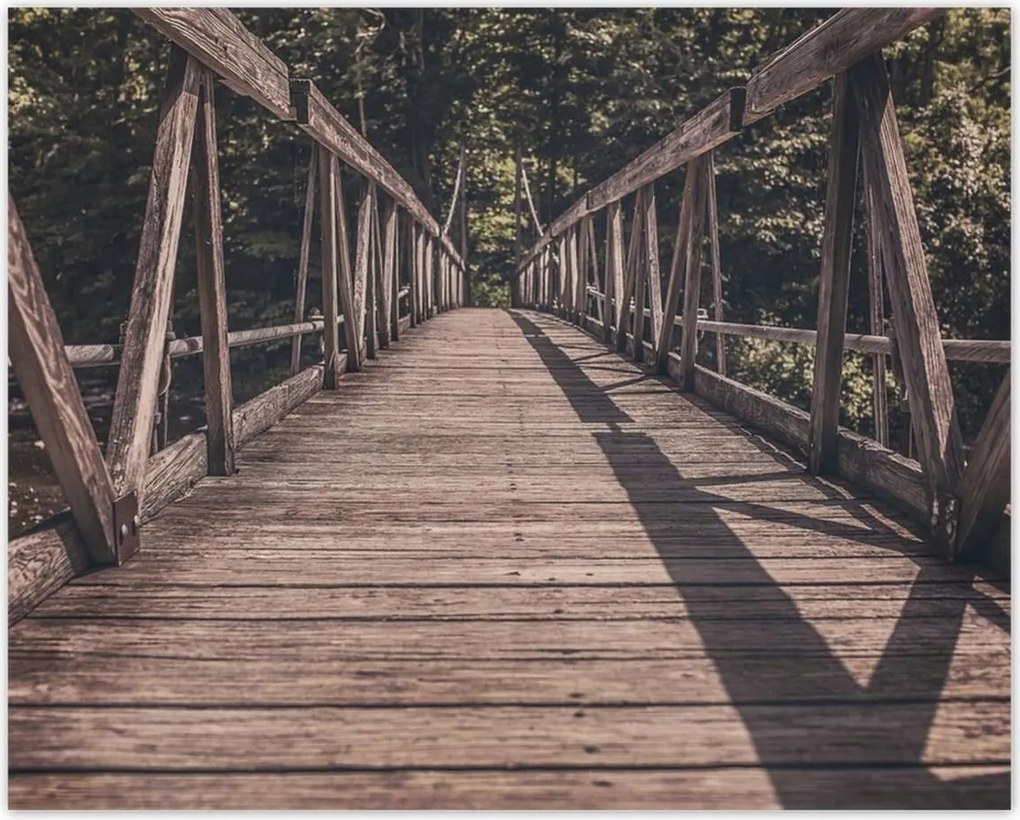 Poszterek 50x40 Fa híd