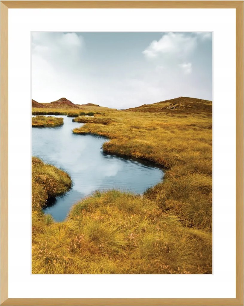 Dekoria Vászonkép Grassy Field II 40x50cm