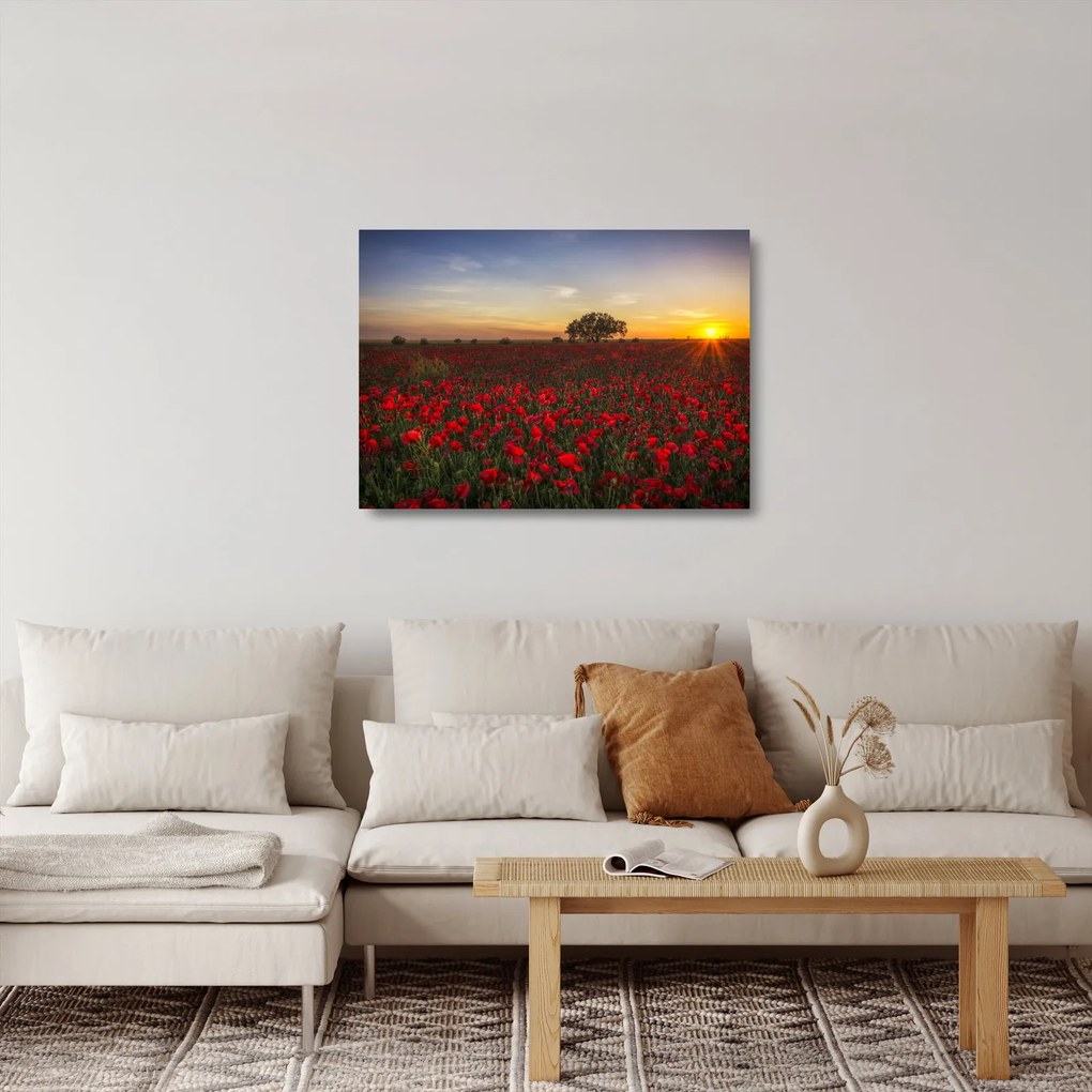 Pipacsos rét képe (üvegen) (70x50 cm)