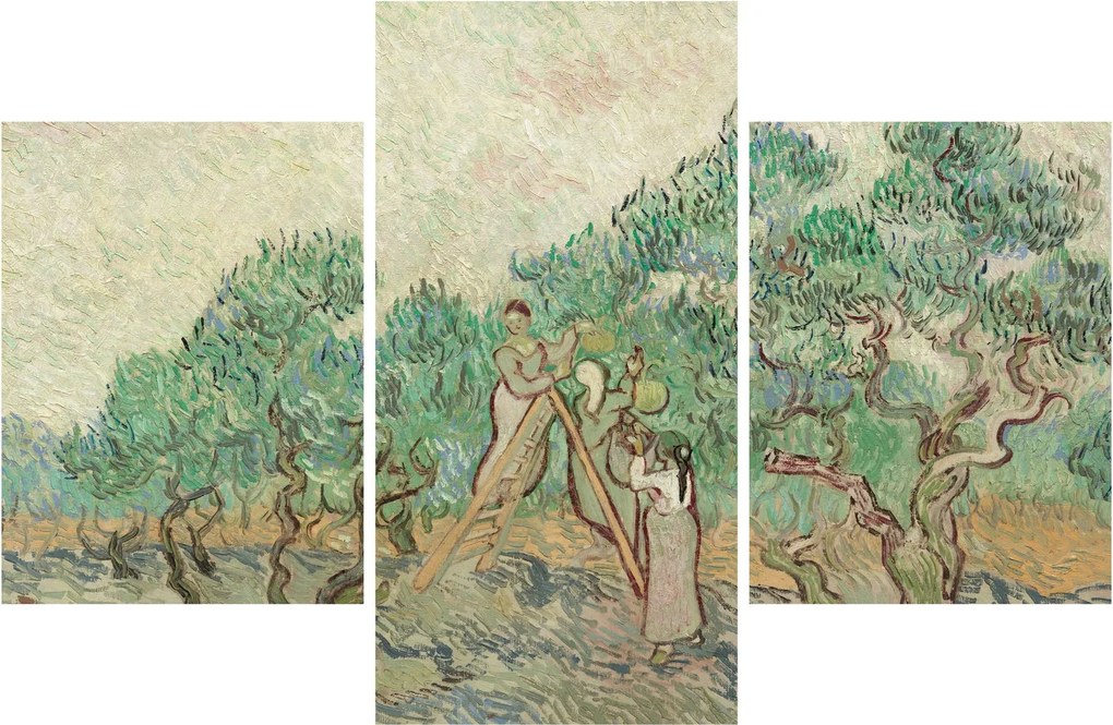 Kép - Vincent van Gogh, The Olive Orchard, reprodukciók (90x60 cm)
