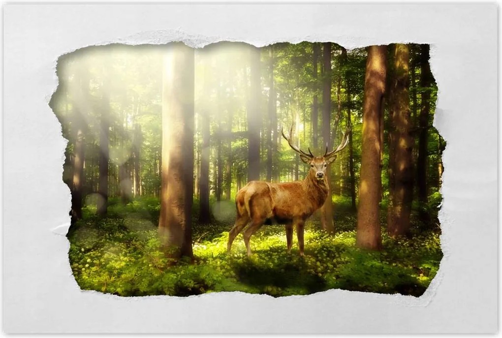 Poszterek 60x40 Szarvas a varázslatos erdőben