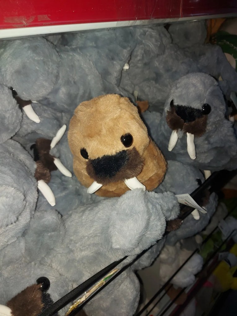 Fóka Plüss Párna Játék