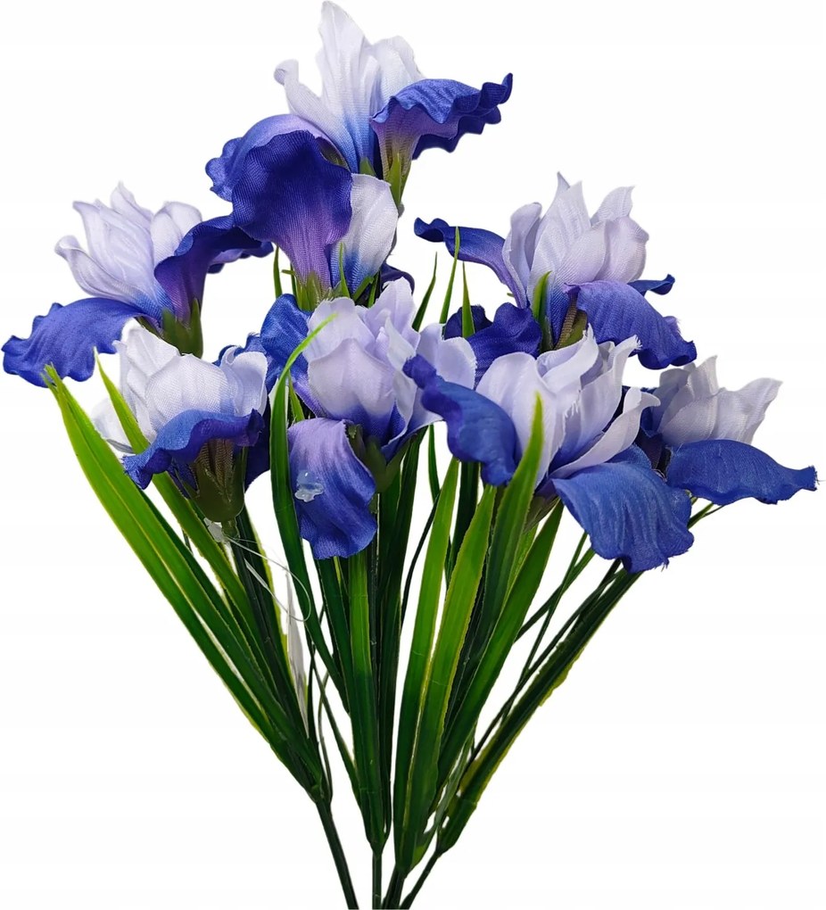 Írisz csokor x9 kék kétszínű (sp)