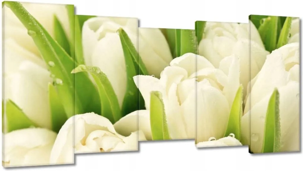 Vászonkép 150x80 Finom tulipánok