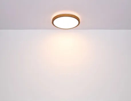 Globo 41764-24 Mennyezeti lámpa, matt fekete fém, barna fa, akril fehér, lépcsős kapcsoló, 3000-4500-6000K kapcsoló a terméken, ø: 437mm, M: 110mm, inkl.LED 24W 230V,1000lm, CCT 3000/4500/6000K