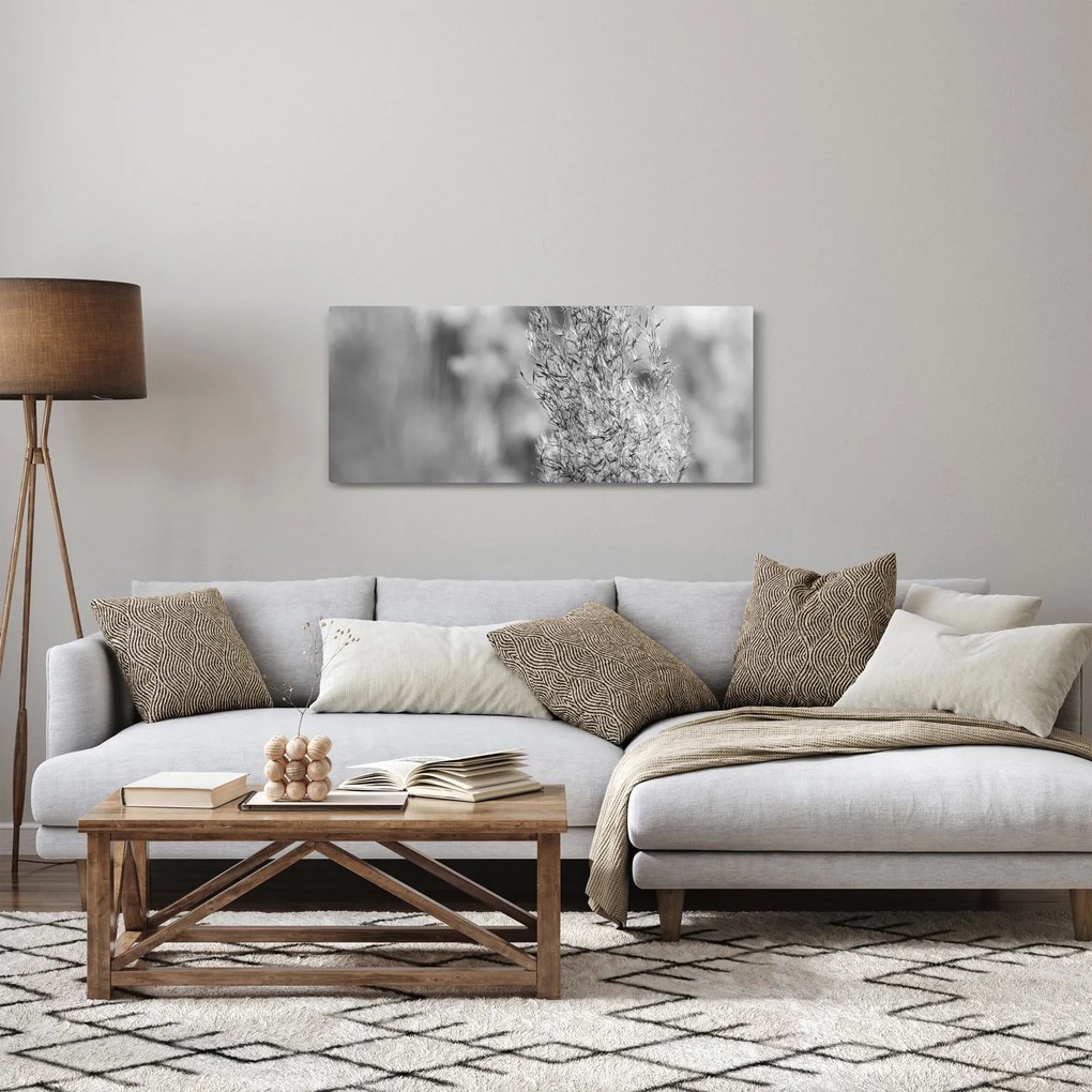 Kép - Boho pampafű (120x50 cm)